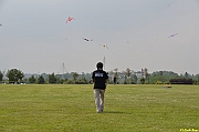 Parco San Giuliano  - 180